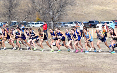 Top five finishes for West Central cross country teams at state meet