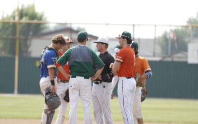 Wood Ducks fall short of state tournament